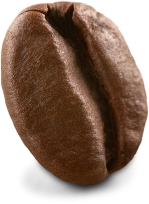 Coffee Bean